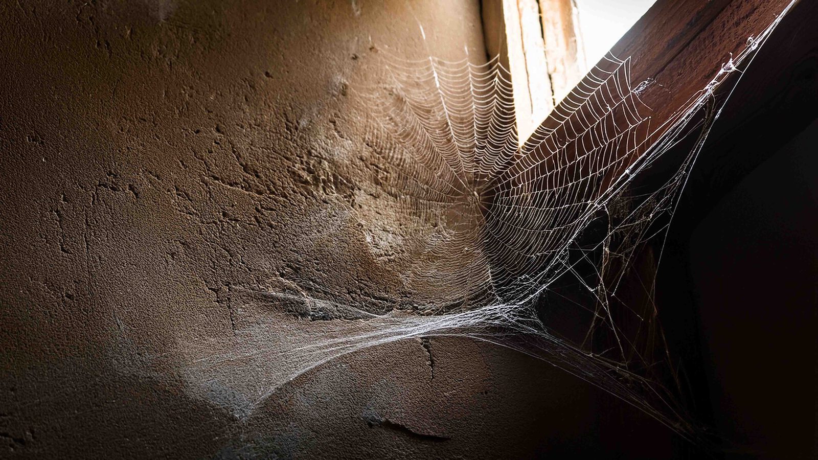 Requisiten und Maske 2 5000