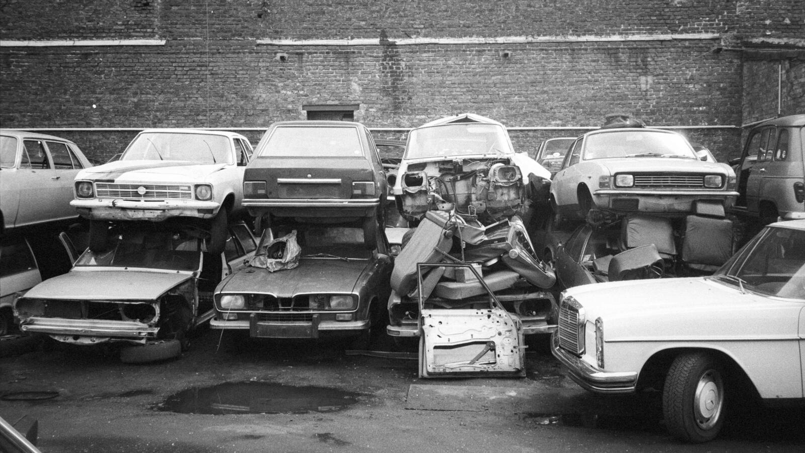 Tanzveranstaltungen, Familienfeste, Schützenfeste, Karneval, die Beobachtungs-Herbarien für die Stuttgarter Dokumentaristen