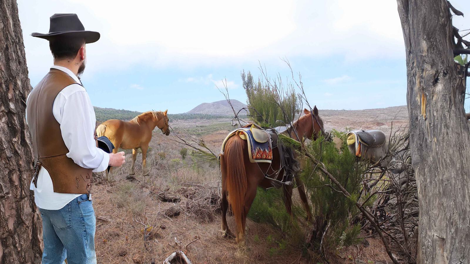 Pferde auf Weide Western 2000