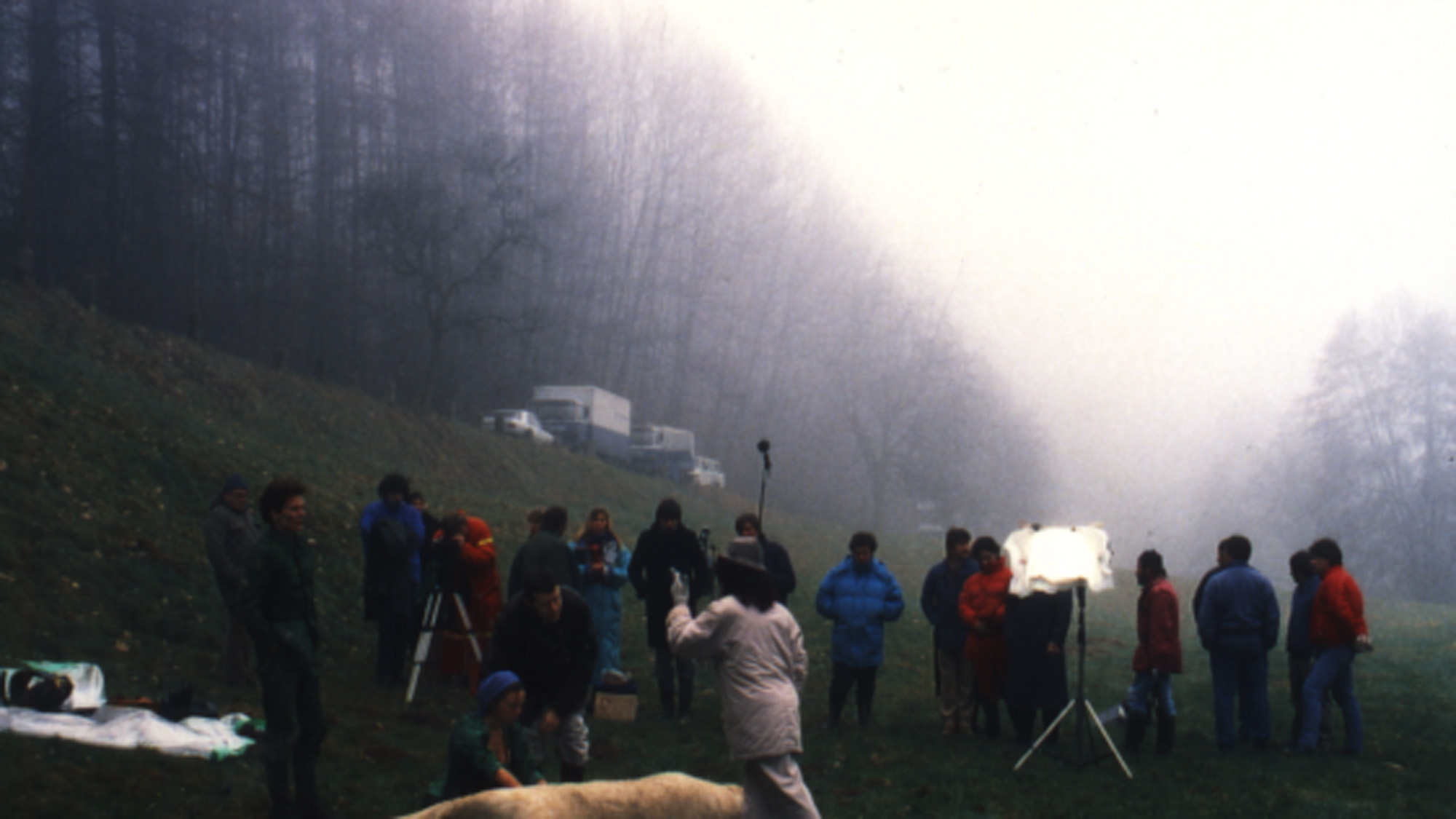 Nebel 2000
