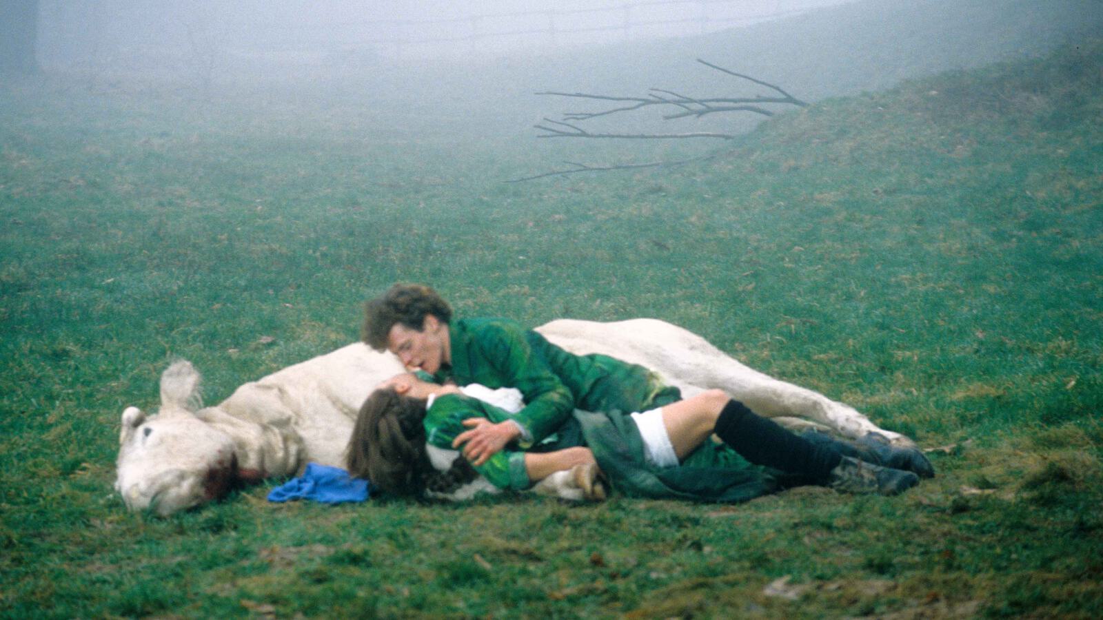 Klar Franta Baeuerin Kuh 4000