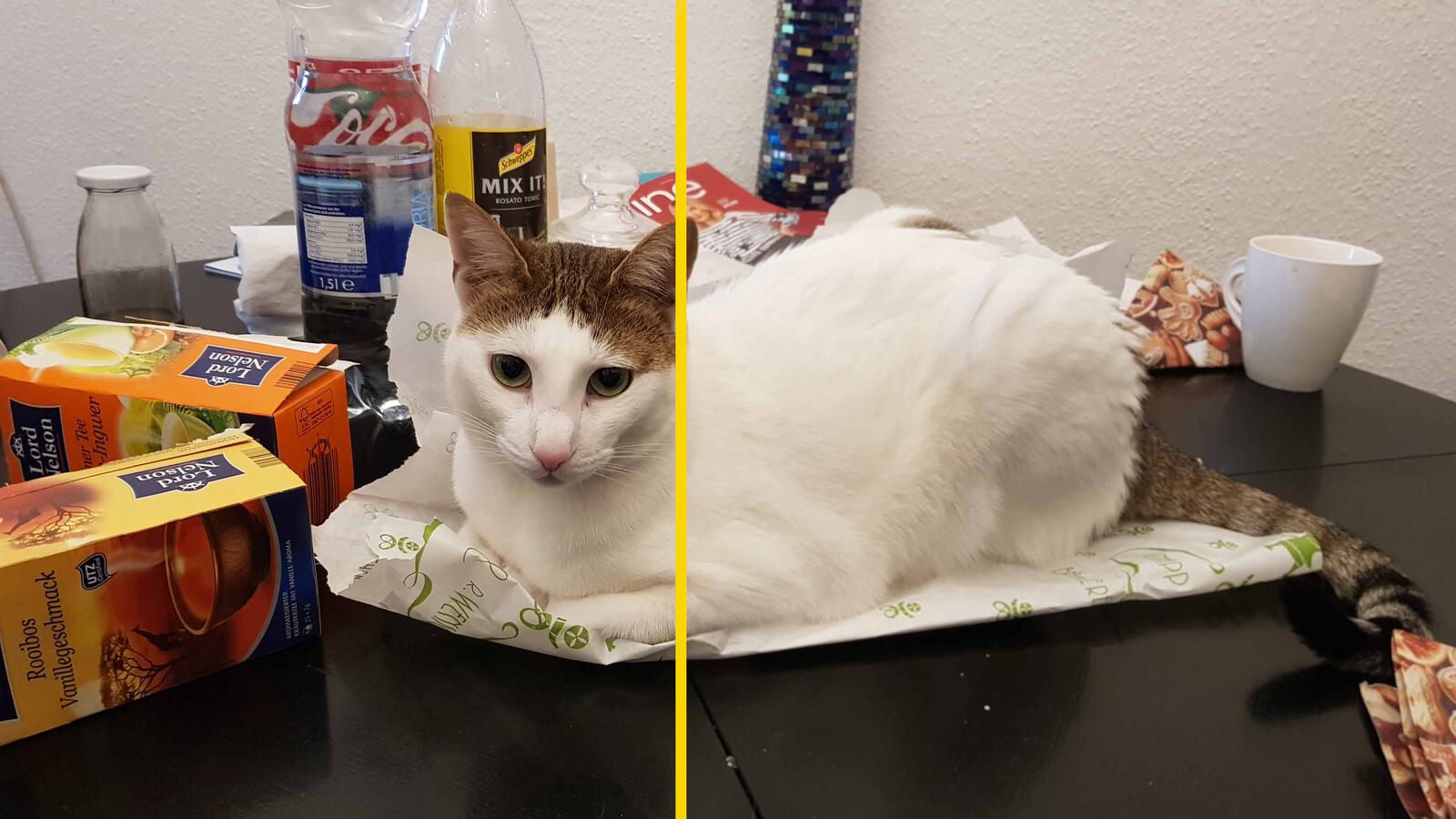 Digital Weichzeichner 2 4000