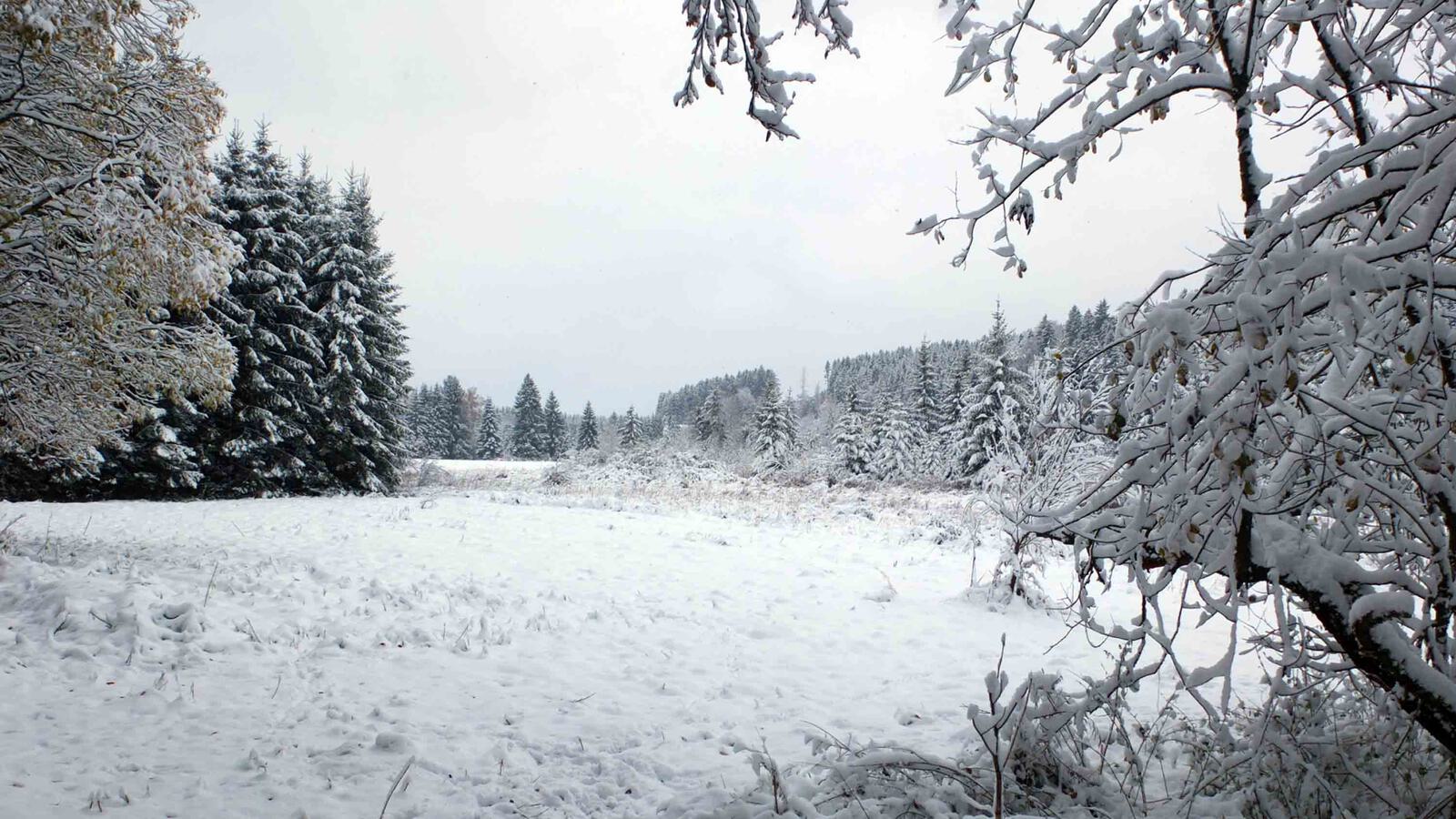 Verschneite Moorlandschaft