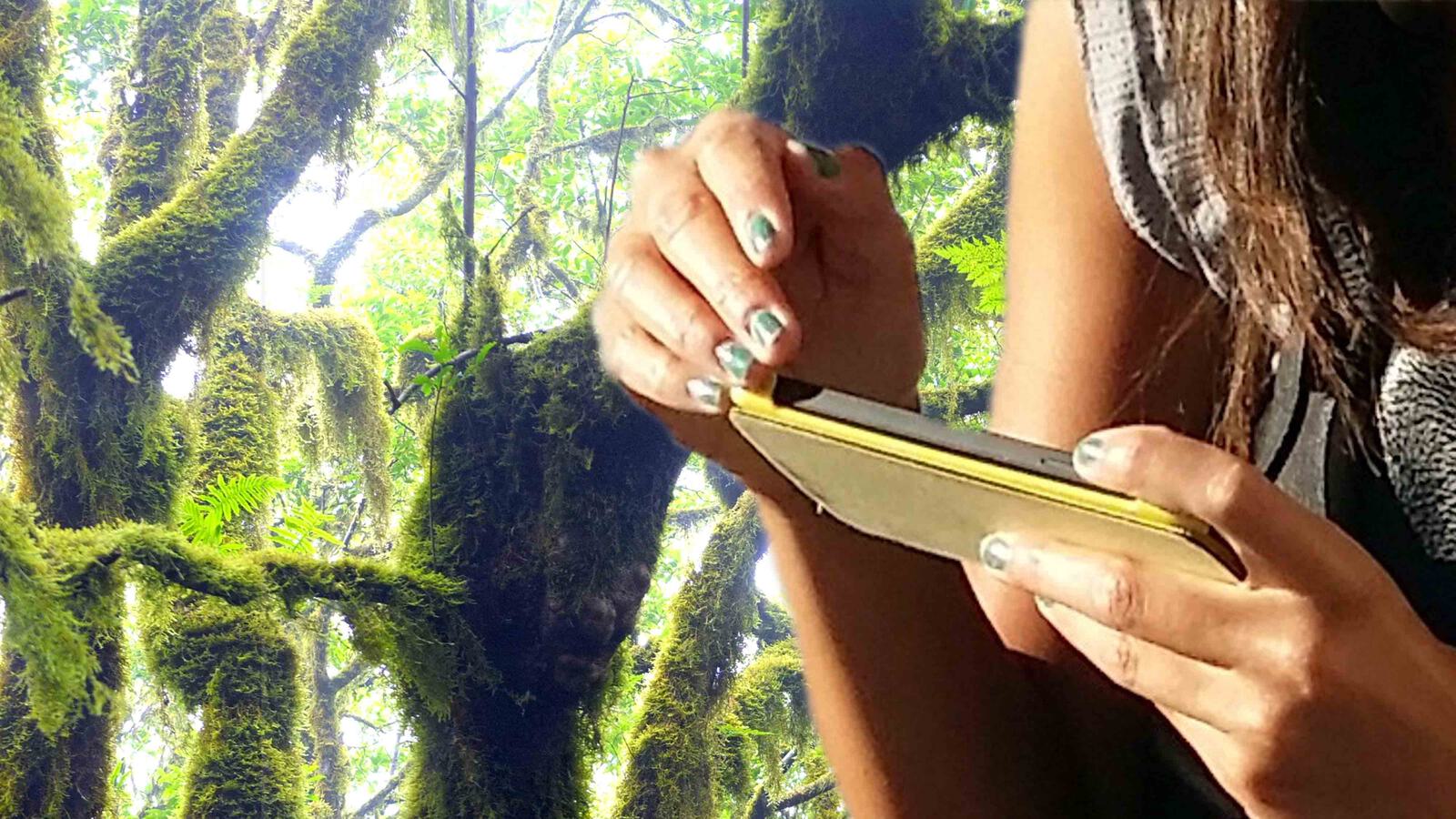 Handyspiel vor Fantasiewelt