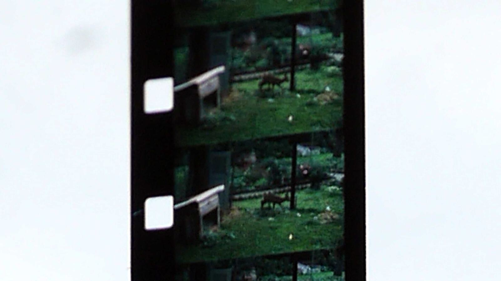 Super 8 Filmstreifen