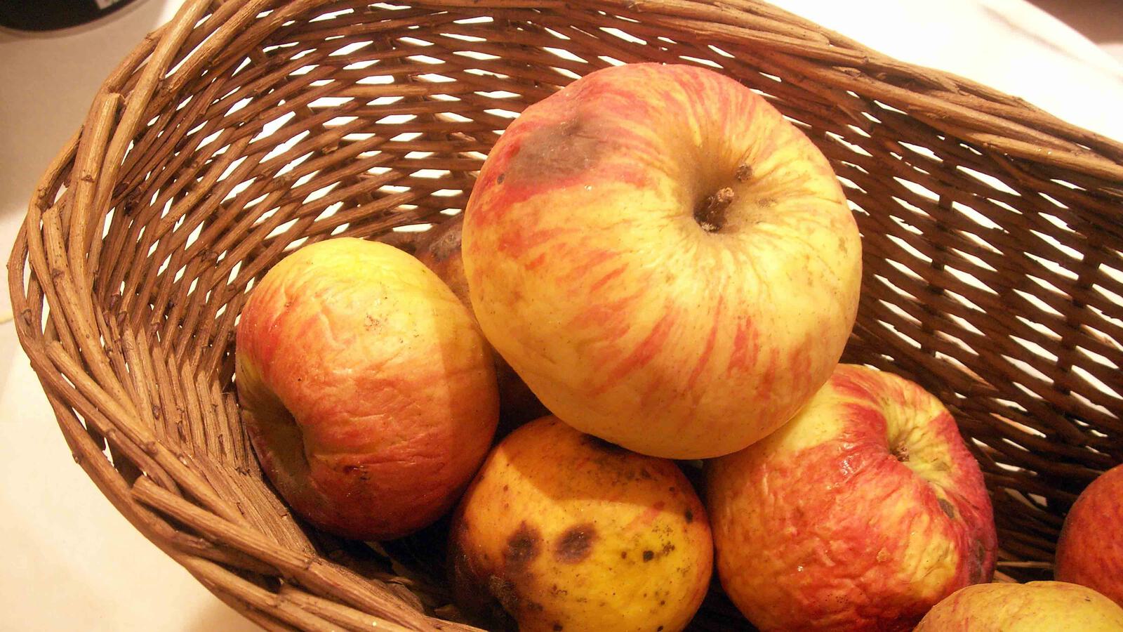 Apfelkorb 4000