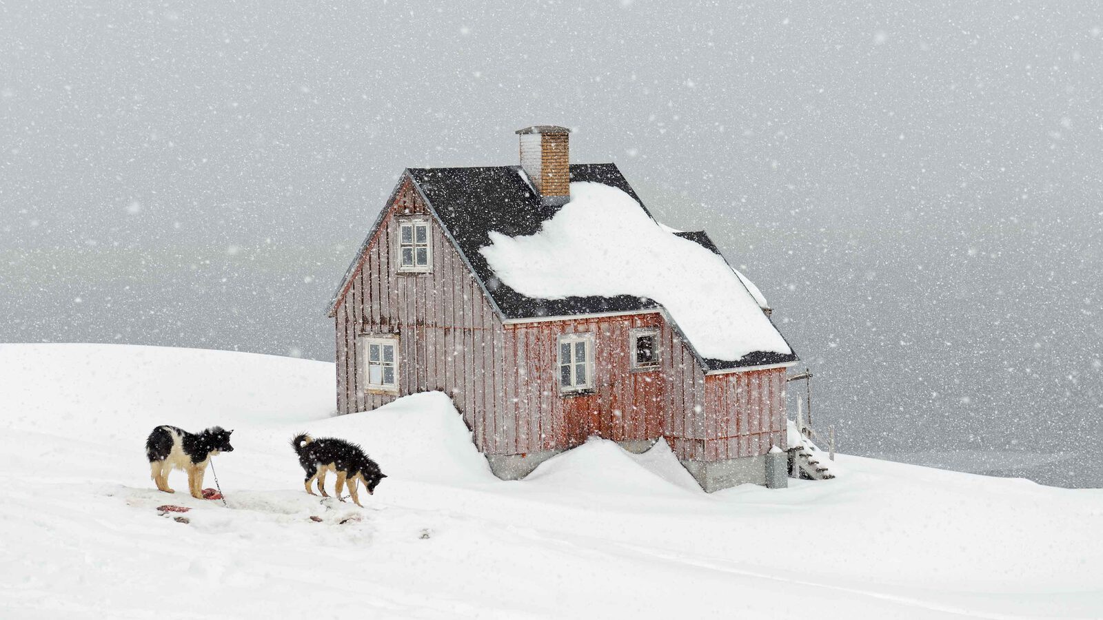 Baden Orangerie Luisa Doerr 2021