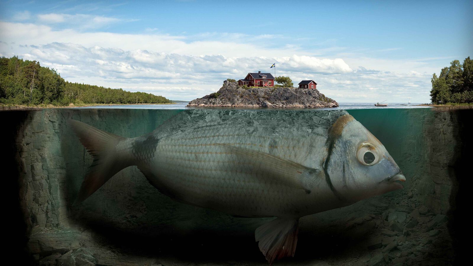 Baden PARDO Pedro 01