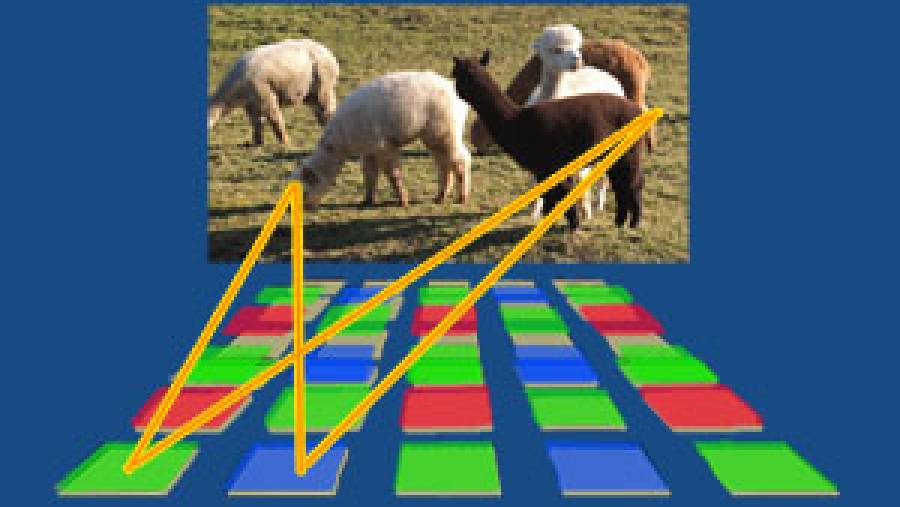 Canon Dual Pixel Autofokus