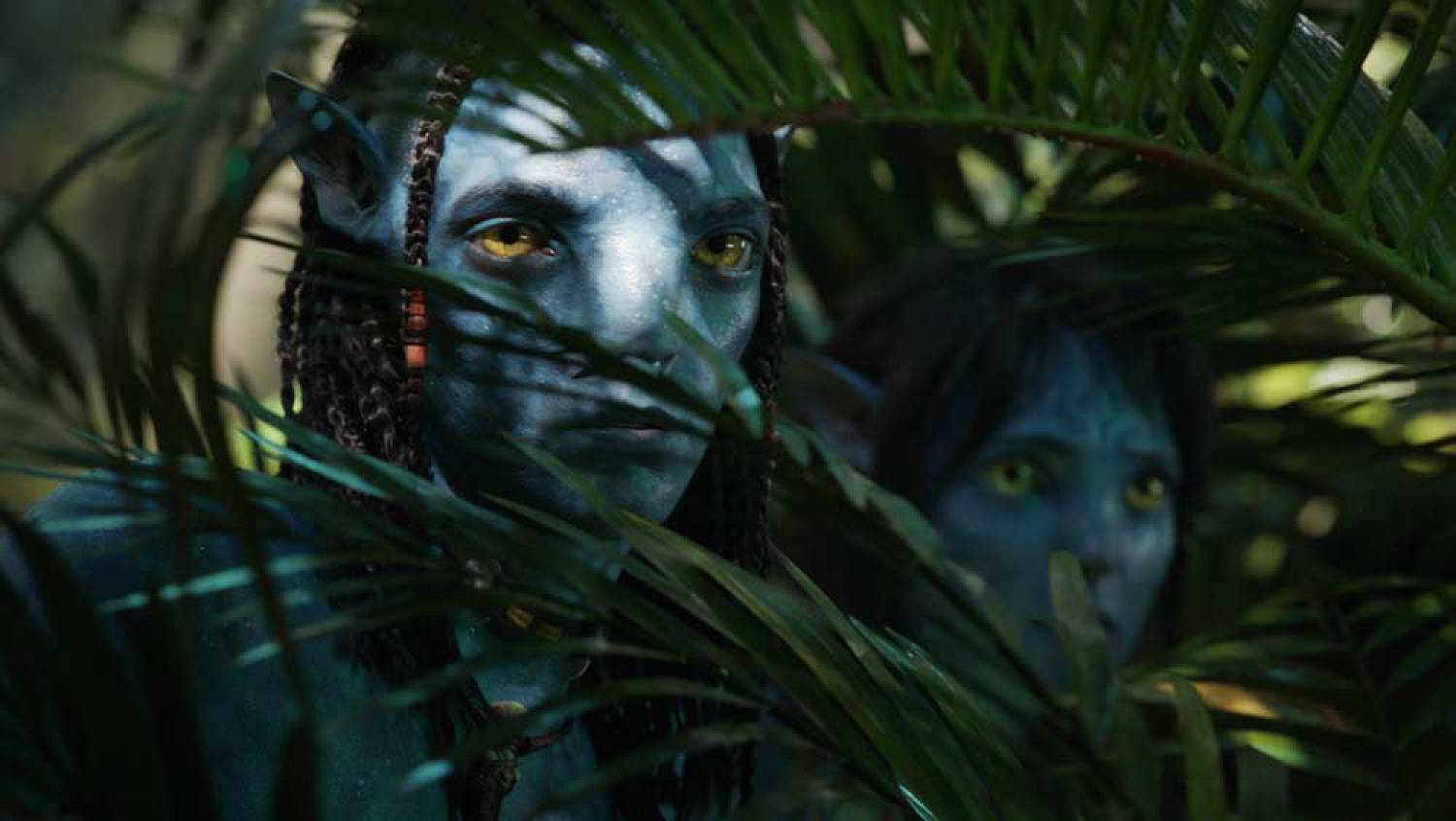Avatar II und 3 D